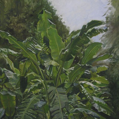 HOJAS DE BANANO · Óleo sobre lienzo · 60x73cm · 2006