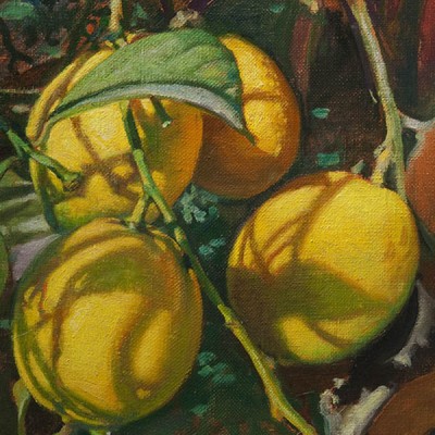 LIMONES EN ÁRBOL · Óleo sobre lienzo · 24x19cm · 2013