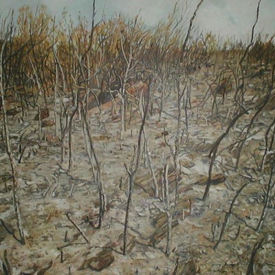 LA TIERRA PROMETIDA I · Óleo sobre lienzo · 65x81cm · 2003