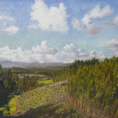 GALICIA II · Óleo sobre lienzo · 27x35cm · 2009