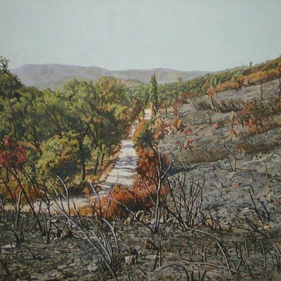 PAISAJE QUEMADO · Óleo sobre lienzo · 89x116cm · 2001