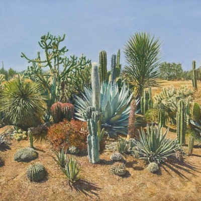 CACTUS MÉXICO · Óleo sobre lienzo · 130x195cm · 2012