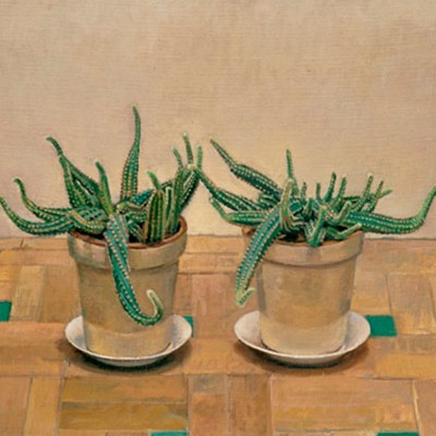 DOS CACTUS · Óleo sobre lienzo · 46x55cm · 2002