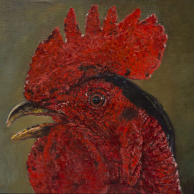 GALLO NEGRO,ROJO · Óleo sobre lienzo sobre tabla · 35x27cm · 2016